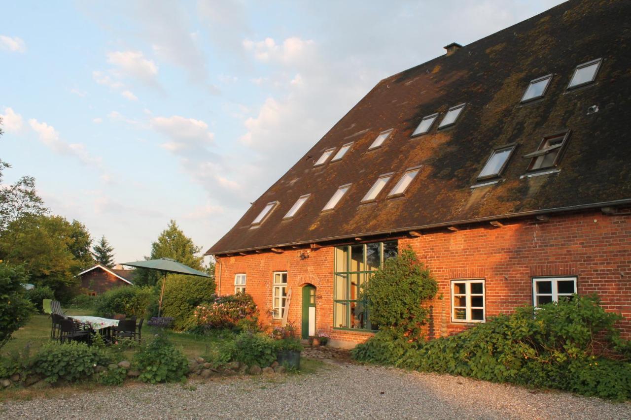 Das Abendrote Haus Gomnitz Exterior photo